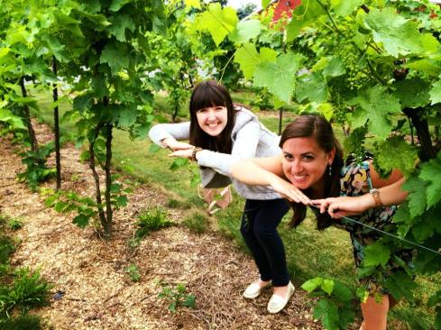 1975092_10100523444729803_9181646336698059960_n