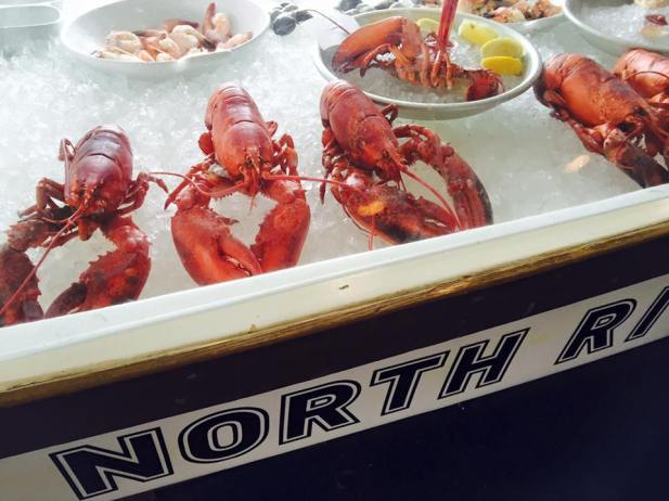 11665642_10153346868451154_5194092338530276780_n