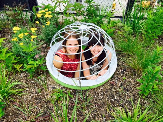 11694017_10153336796791154_5643791740500213588_n